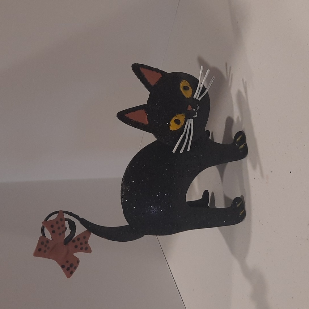 Sparkly black cat